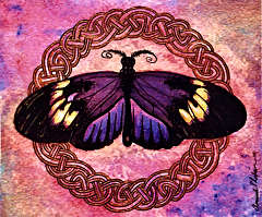celtic-butterfly_t